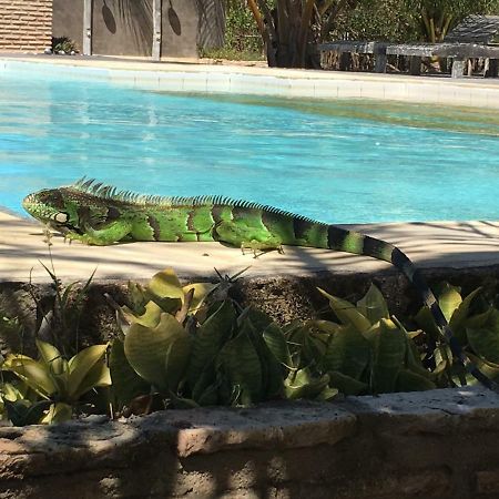 Cruz  Casa Caicara Villas De Praia מראה חיצוני תמונה