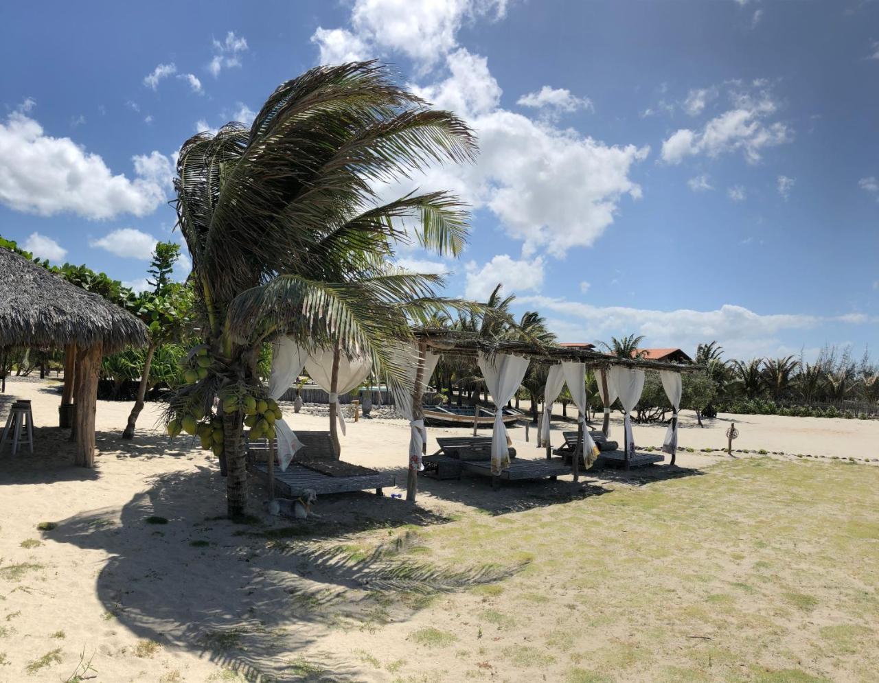 Cruz  Casa Caicara Villas De Praia מראה חיצוני תמונה