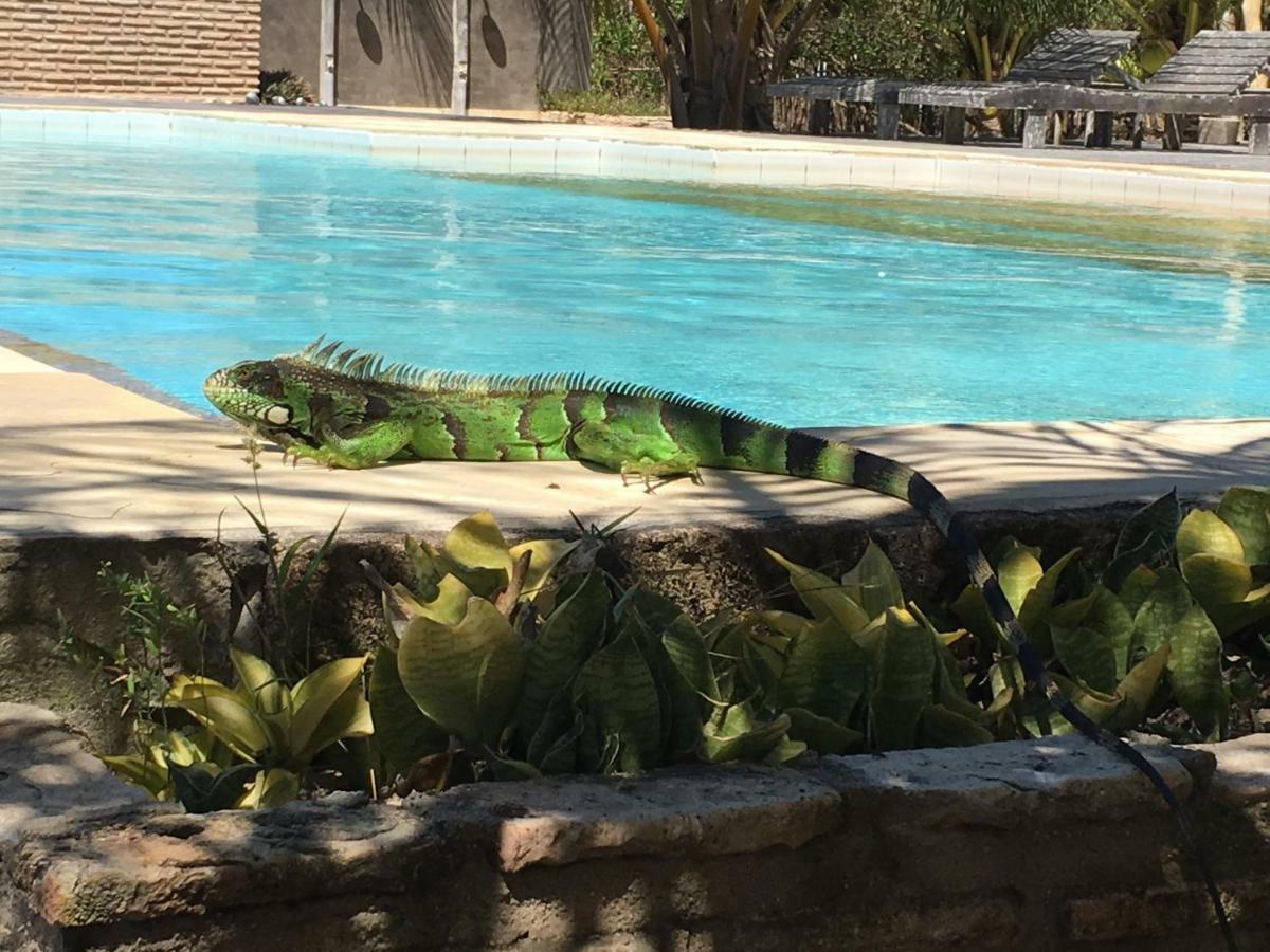 Cruz  Casa Caicara Villas De Praia מראה חיצוני תמונה